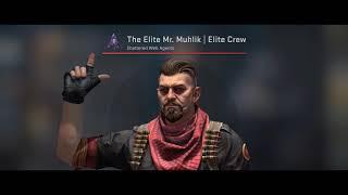 CS:GO Elite Crew The Elite Mr. Muhlik Sounds [+DL]