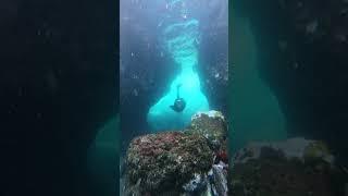 Check this place  #freediving  #tenerife #ocean