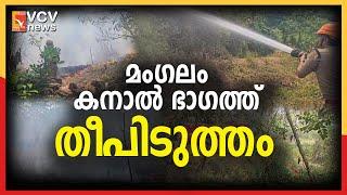 മംഗലം കനാൽ ഭാഗത്ത് തീപിടുത്തം