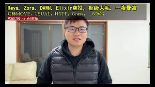 一夜暴富大毛：Reya，Zora，DAWN，Elixir空投，对标MOVE，USUAL，HYPE，Grass，比他们更好。