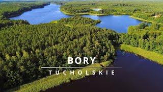 Bory Tucholskie