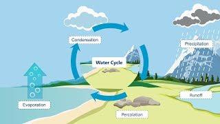 #Watercycle process | #hydrologicalcycle| #Watercycle Explanation | #letsgrowup