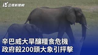 辛巴威大旱釀糧食危機 政府殺200頭大象引抨擊｜20241001 公視新聞全球話