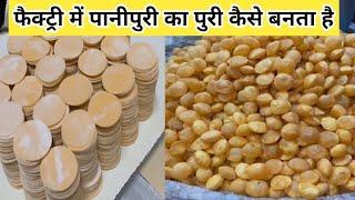 PaniPuri Making at Factory Level | Indian Street Food | Foodies Fab