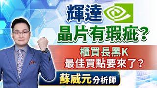 蘇威元分析師【輝達晶片有瑕疵？櫃買長黑K  最佳買點要來了？】 2024.10.24 #蘇威元 #飆股元動力