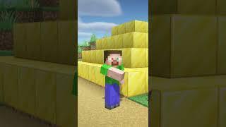 Les différents types de joueurs sur Minecraft 1 #shorts