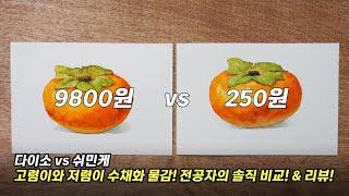 저렴이 다이소vs고렴이 쉬민케 수채화물감 비교 테스트!별나라⭐그림강좌