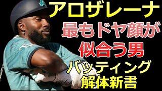 【アロザレーナ バッティング解体新書】腕組みでドヤ顔【MLB タンパベイ・レイズ】