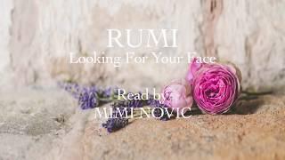 Rumi- Looking For Your Face - Mimi Novic