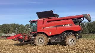 Case Axial Flow 5140  im Körnermais