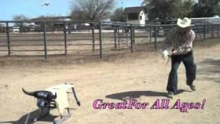 The Original Fast Lane Roping Dummy by Fast Lane Rodeo