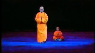 Shaolin Kungfu Master Shi Yan Feng .wmv