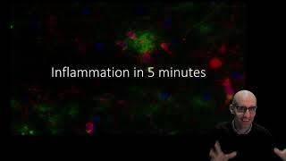 Inflammation: A Quick Overview