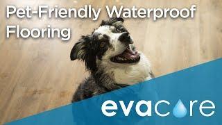 Pet-Friendly Waterproof Floors | Evacore