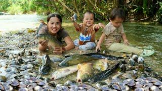 How to catch giant fish and oysters to sell at the market with your children