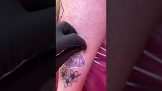 Moths are so cool #moth #gwygtattoo #mothmarch #gwyg