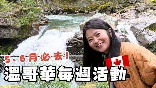 溫哥華每週活動 | 5、6月必去的七個活動! 迷人的碼頭夜市、斑點蝦節、兒童藝術節...等等! 還沒吃到斑點蝦嗎? 一定要嚐嚐!