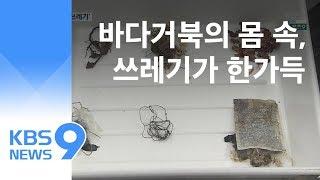 멸종위기 바다거북 ‘수난’…해양 쓰레기를 먹이로? / KBS뉴스(News)