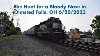 The Hunt for a Bloody Nose in Olmsted Falls, OH (6/20/2023)