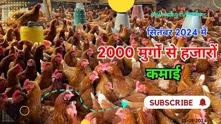 2000 birds poultry farm profit | 2000 murgi palan mein kitna kharcha aayega #poultry #chicken #murgi