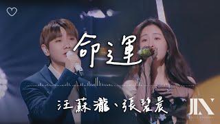 張碧晨、汪蘇瀧 (Silence Wang) (原唱 : 家家) l 命運【高音質 動態歌詞 Lyrics】