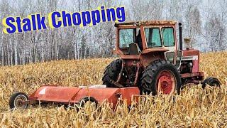 Chopping Corn Stalks/Removing Plunger From Barn Cleaner