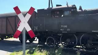 Pendelzug unter Dampf kurz vor dem Bahnhof Luckau