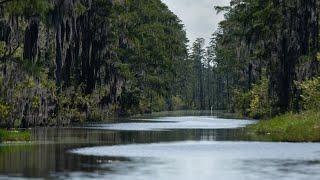 Proposed bills would limit mining near Okefenokee swamp