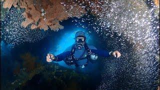 WRECK DIVING - USAT LIBERTY BALI || RINTO ARIYADI SIDEMOUNT INDONESIA