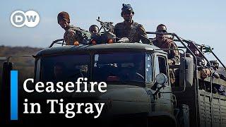 Ethiopian government declares ceasefire in Tigray | DW News