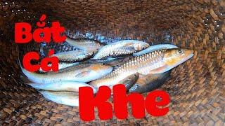 Bắt Cá Khe Nấu Bữa Trưa  Poòng Văn Quỳnh