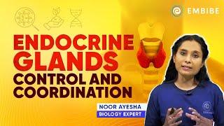 Endocrine Glands: Hypothalamus and Pituitary | Control & Coordination | Biology | Noor Ayesha