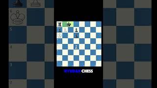 This puzzle is amazing! #shorts #chess