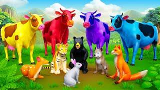 Color Cows Rescue Mission: Farm Animals vs Wild Predators in an Epic Adventure!