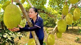 VIDEO FULL: 120 Days Build Garden - Harvest Jackfruit, Pineapple, Lemon Goes to the market sell