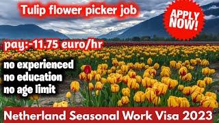 netherland seasonal work visa for nepali  | netherland seasonal work visa 2023 |