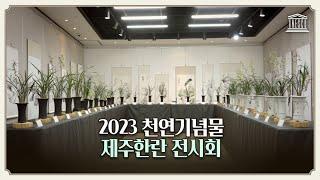 2023 제주한란전시관 '제주한란&수묵전시회'에서 청향과 묵향을 동시에 누리다!