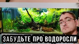 Ленивый аквариум на песке: забудьте про фильтр и водоросли в аквариуме! Аквариум без фильтра! 4К