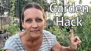 The Best Thing I Did For My Garden! | VLOG