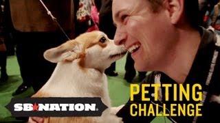 Westminster Kennel Club Dog Show: Petting Challenge