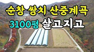 해발 300m 산중계곡낀 농지, 전북 순창군 쌍치면 도로접한 3100평 토지매매, 전원주택, 귀농귀촌, 청년창업농