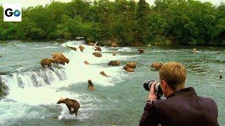 Katmai National Park