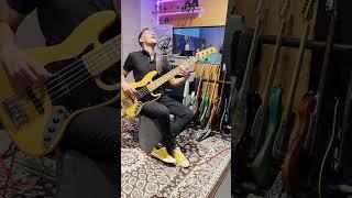 Praieiro - Jammil | Cover Baixo | Bass Cover • Olindo Deboni