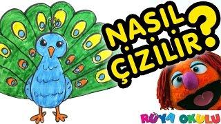 Nasıl Çizilir? - Tavus Kuşu - Çocuklar İçin Resim Çizme - RÜYA OKULU