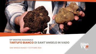 61ª mostra nazionale tartufo bianco di Sant'Angelo in Vado