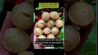 माता रानी का प्रसाद अनदेखा न करे#matarani #durgapuja#durgamaa
