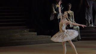 Ekaterina Krysanova in ballet Raymonda