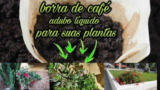 ADUBO LÍQUIDO FEITO COM BORRA DE CAFÉ!!!