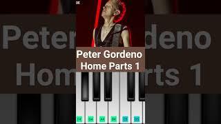 Depeche Mode - Peter Gordeno (Memento Mori tour - Home Parts #1)