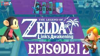 Legend of Zelda: Link's Awakening EP 12 - Richard is the Bourgeoisie!